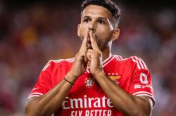 开云体育在线-包含维罗纳计划引进巴西前锋，强化攻击线的词条