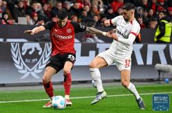 开云体育入口-勒沃库森主场大胜，全队发挥出色