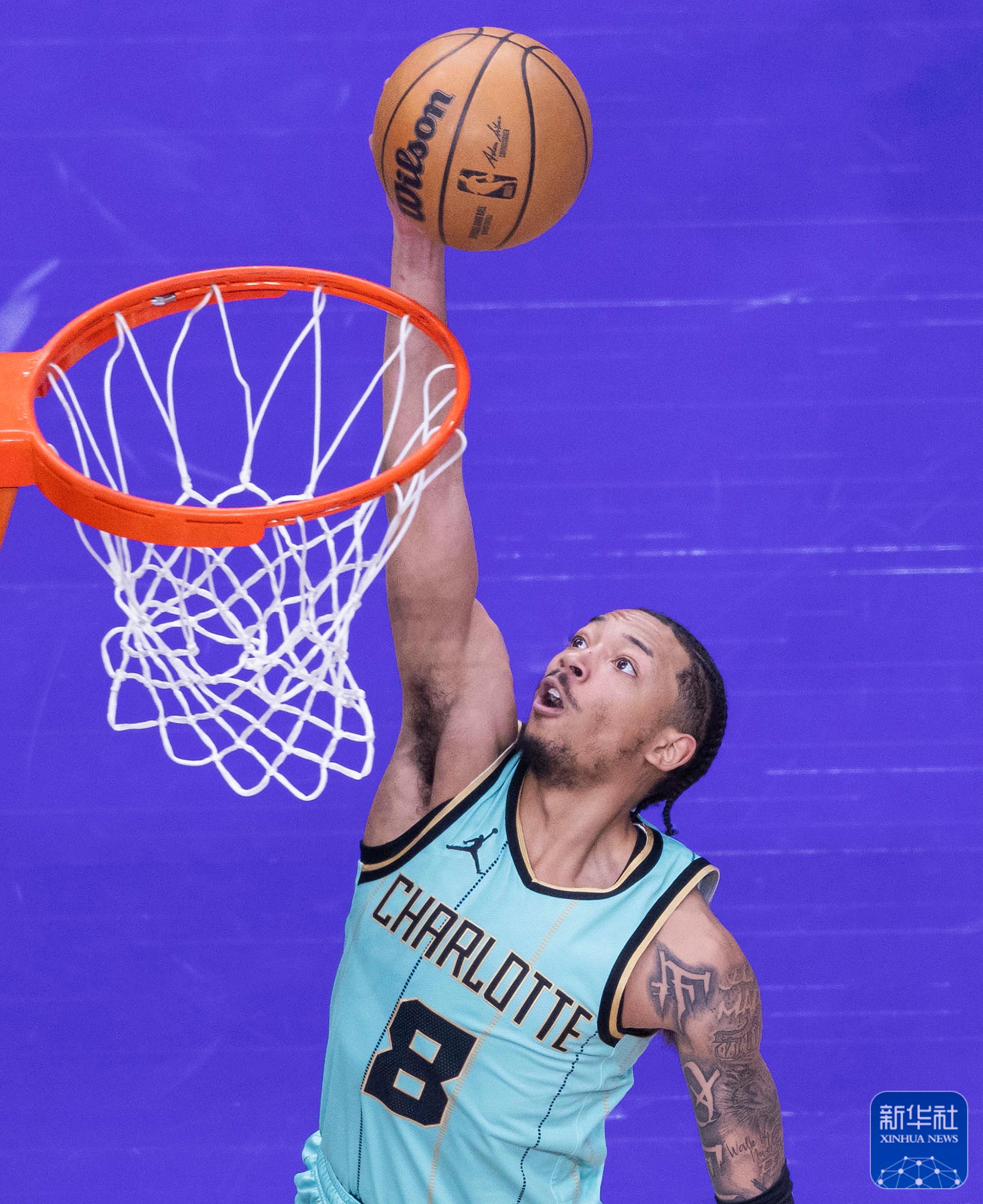 关于猛龙击败老鹰，保持不败记录的信息