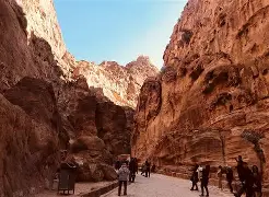 包含坎塔伦拉主场佩特雷斯库克,甩出捕手五个耍高压的词条 包含坎塔伦拉主场佩特雷斯库克,甩出捕手五个耍高压的词条